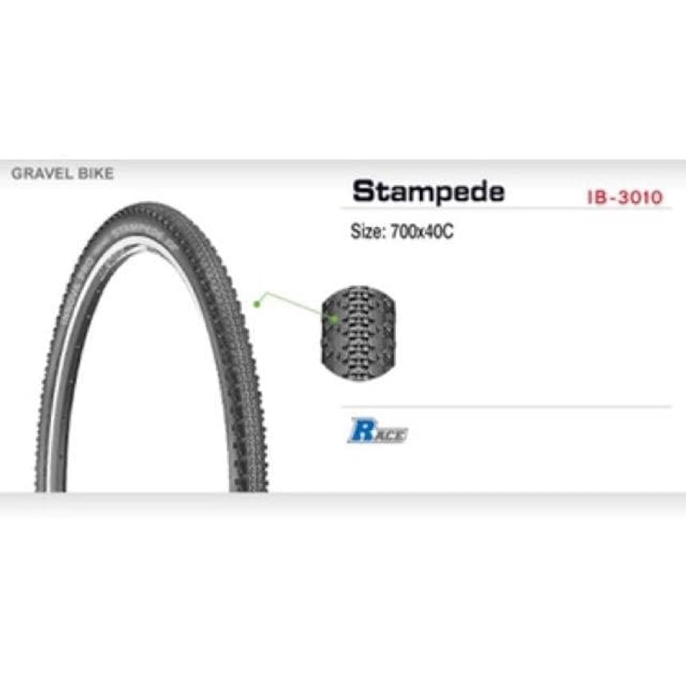 未使用新品 2本セット グッドイヤー 700x40C グラベルタイヤ バイクタイヤ タイヤ 80/100-10 T/L 2本セット 高品質台湾製